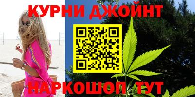 гашик Новодвинск