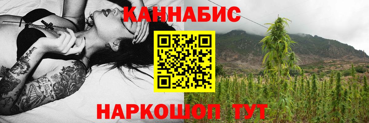 Конопля SATIVA & INDICA Сергиев Посад